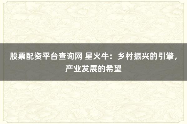 股票配资平台查询网 星火牛：乡村振兴的引擎，产业发展的希望