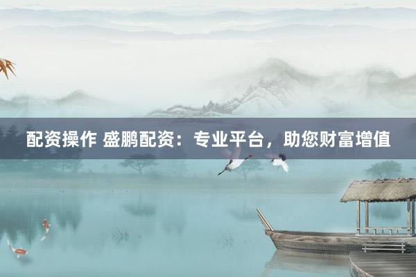 配资操作 盛鹏配资：专业平台，助您财富增值