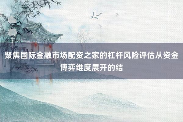 聚焦国际金融市场配资之家的杠杆风险评估从资金博弈维度展开的结